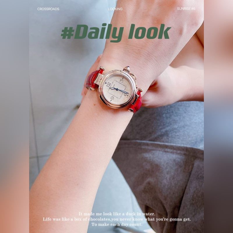 CARTIER Pasha 35mm Replica Watch Luxurious Timepiece-8