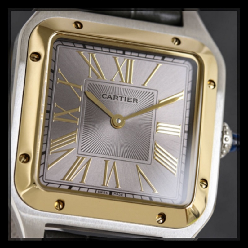 Cartier Santos-Dumont Litchi Leather Strap in Three Sizes Large Medium Small-4