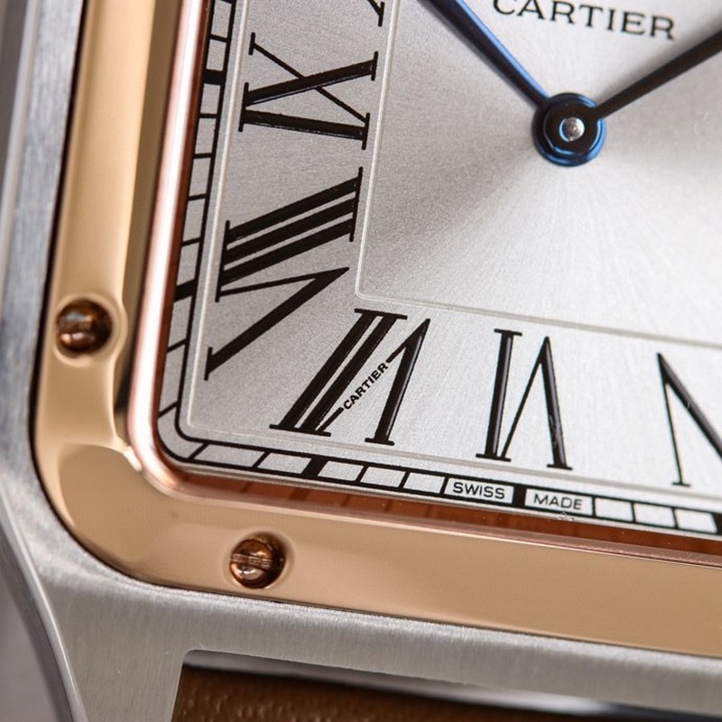Cartier Santos-Dumont Lychee Skin Replica Watch Large Medium Small Sizes Available-6