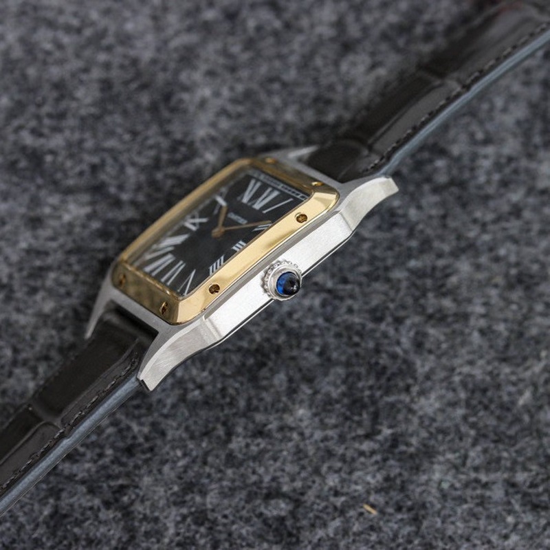 Cartier Santos-Dumont Litchi Skin in 3 Sizes Large Medium Small-4