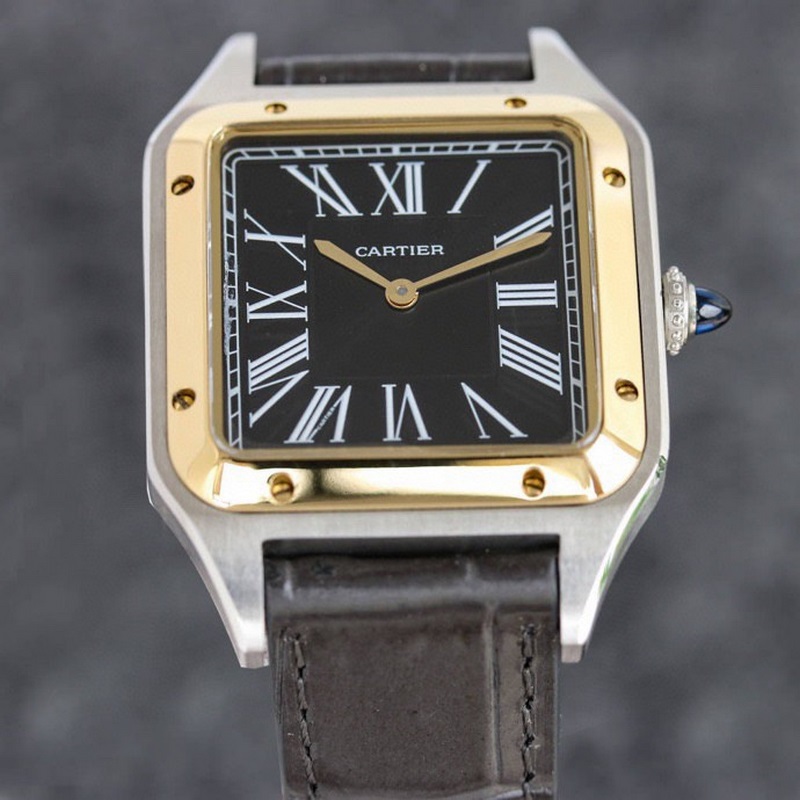 Cartier Santos-Dumont Litchi Skin in 3 Sizes Large Medium Small-7