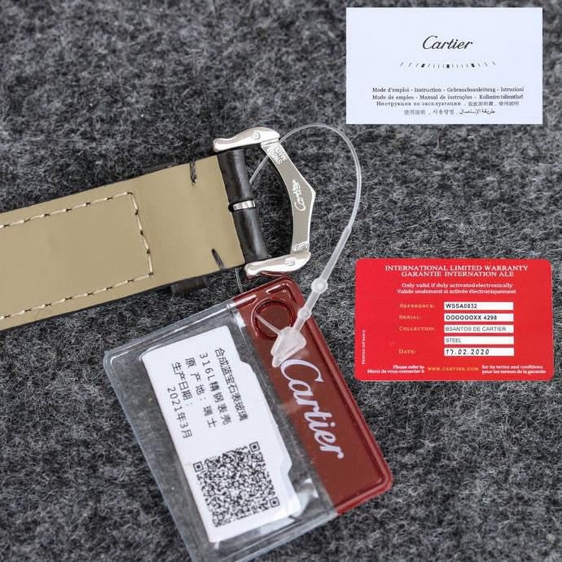 Cartier Santos-Dumont Litchi Skin in 3 Sizes Large Medium Small-8