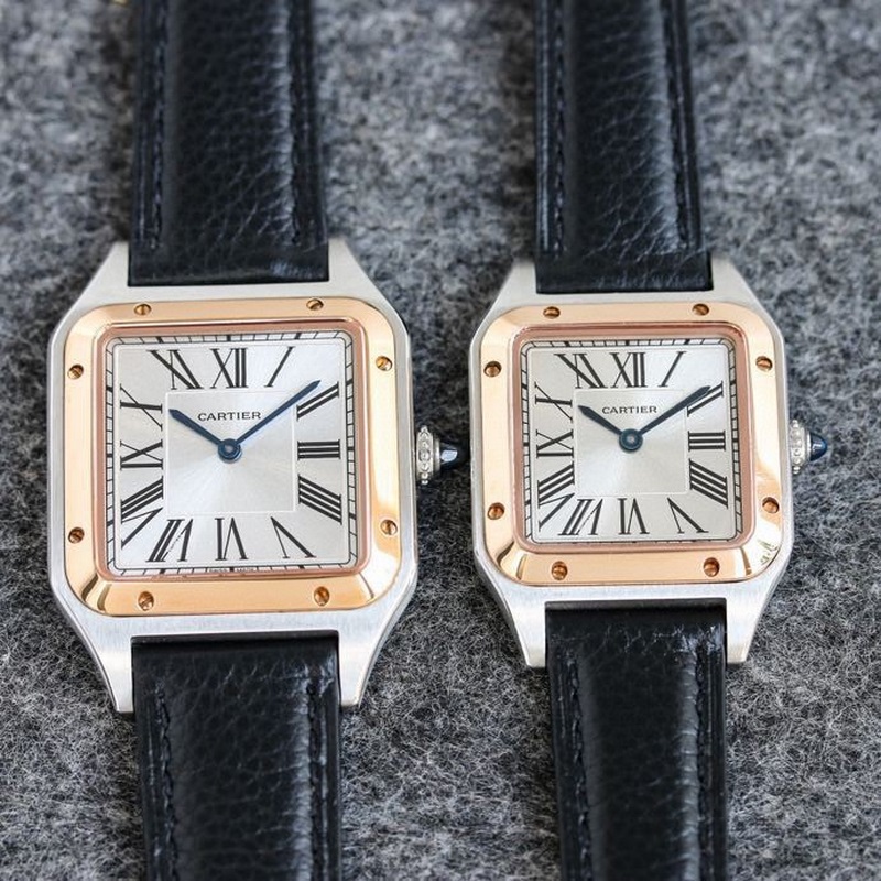 Cartier Santos-Dumont Lychee Leather Straps Three Sizes Available-5