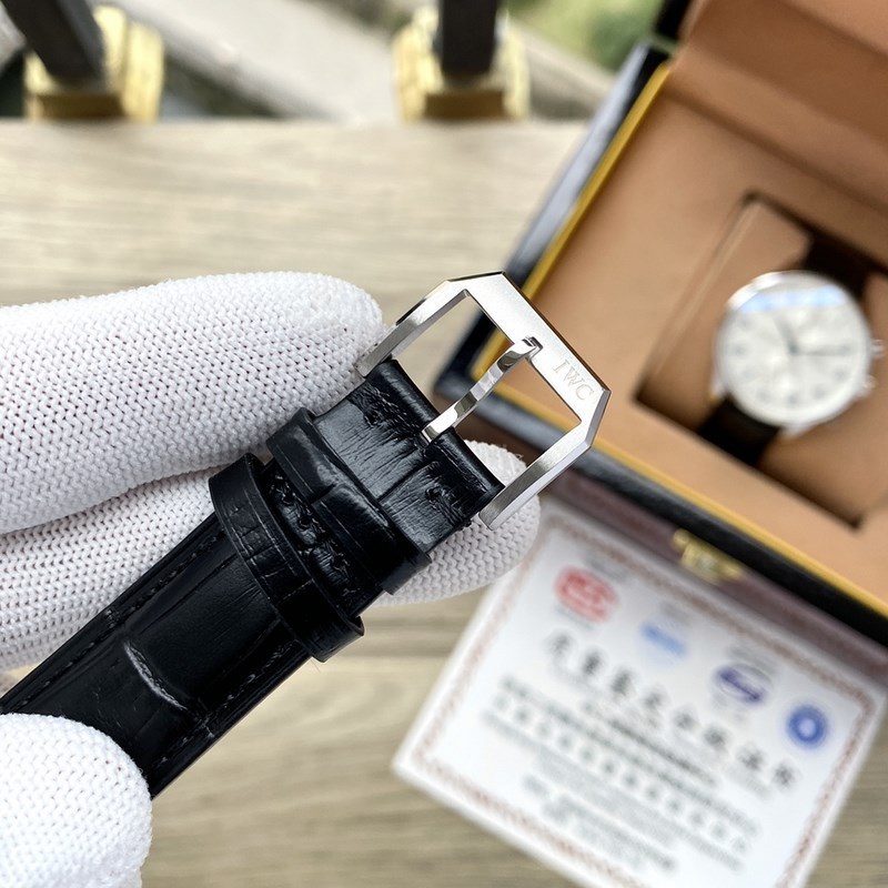 IWC Portuguese Series Luxury Men's Replica Watch Multi-Function Design-8