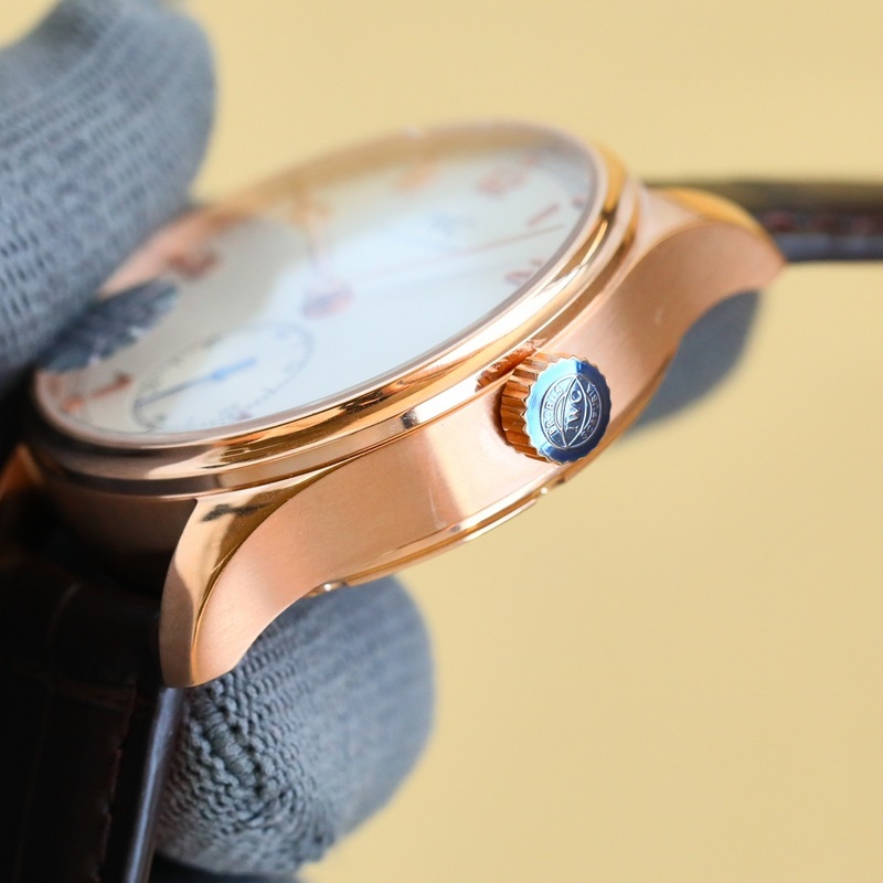 IWC Portuguese Automatic Small Second Replica Watch GR Factory Edition-6