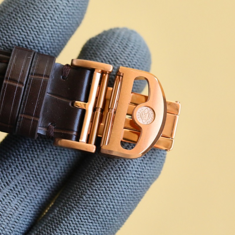 IWC Portuguese Automatic Small Second Replica Watch GR Factory Edition-8