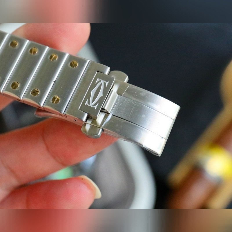 Cartier Santos WSSA0017 Automatic Mechanical Replica Watch Premium Quality-4