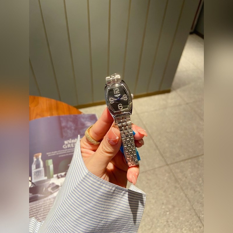 Longines Master Collection Three-Hand Date Replica Watch-3