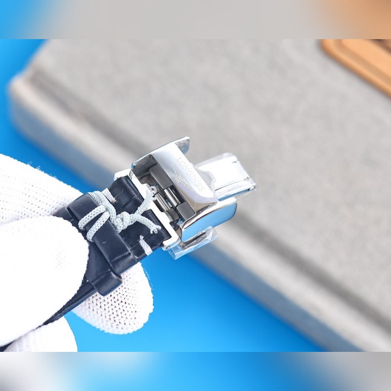 Longines Master Collection Annual Upgrade Edition-8