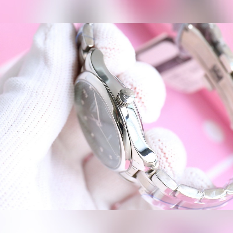 Longines Master Collection L2.357.4.87.0 Elegant Women's Replica Watch-7