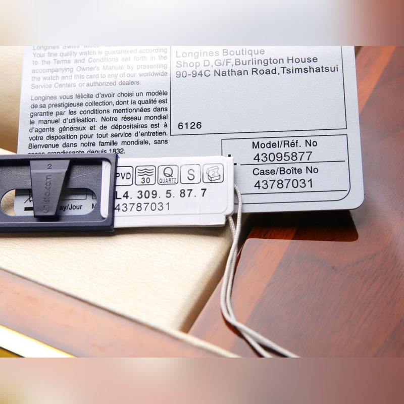 Longines Master Collection Waterproof Replica Watch 120m for Women-5