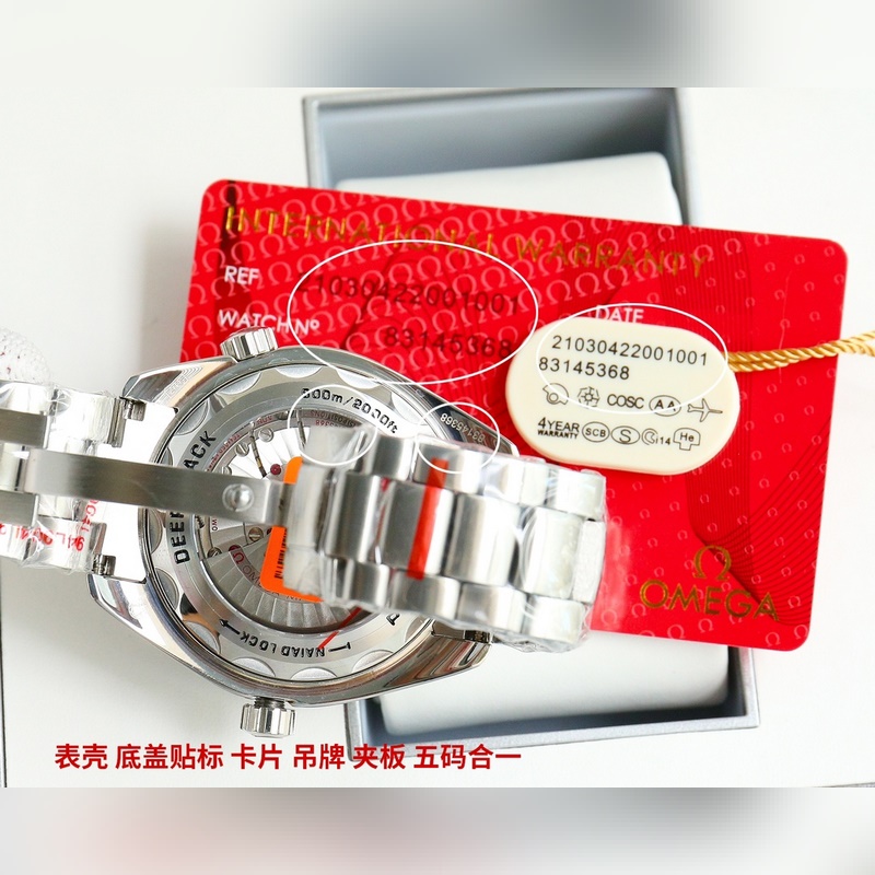 Omega Seamaster Planet Ocean 600m 2024 Official Recommendation-7