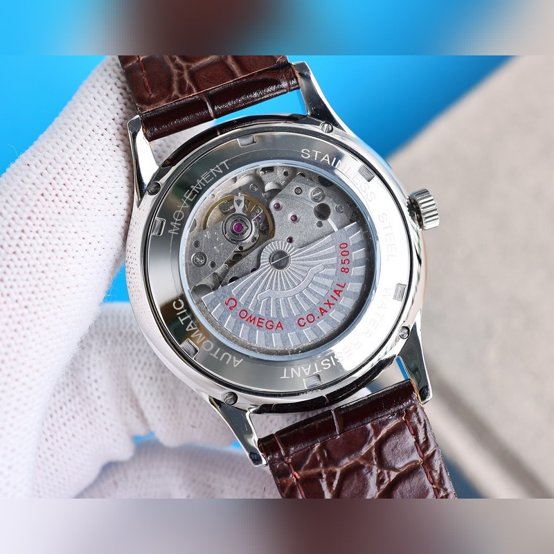 Omega Seamaster Aqua Terra Series Limited Edition 14-Month Perfect Upgrade-6