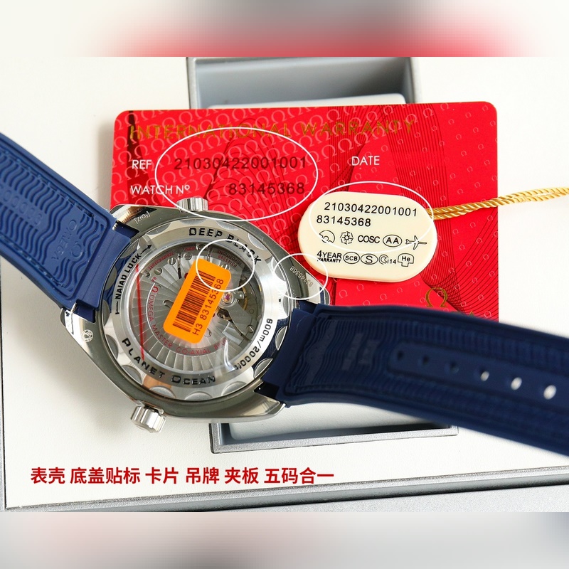 Omega Seamaster Planet Ocean 600m Diver 2024 Official Recommendation-7