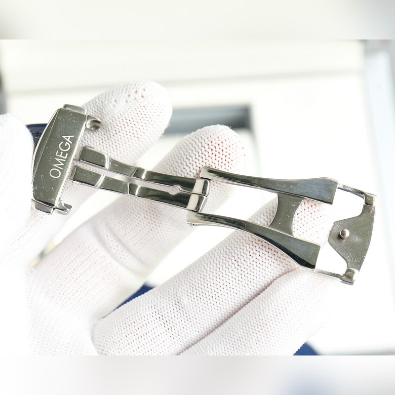 Omega Seamaster Planet Ocean 600m Diver 2024 Official Recommendation-8