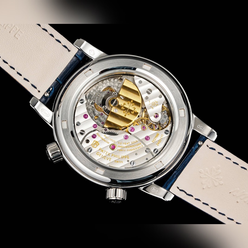 Patek Philippe Super Complications Celestial (Super Luminous) Star Chart Dial-7