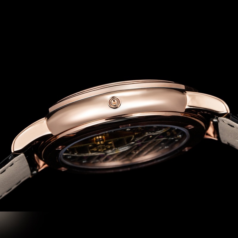 Patek Philippe Super Complications Celestial Replica Watch with Star Chart Dial-6